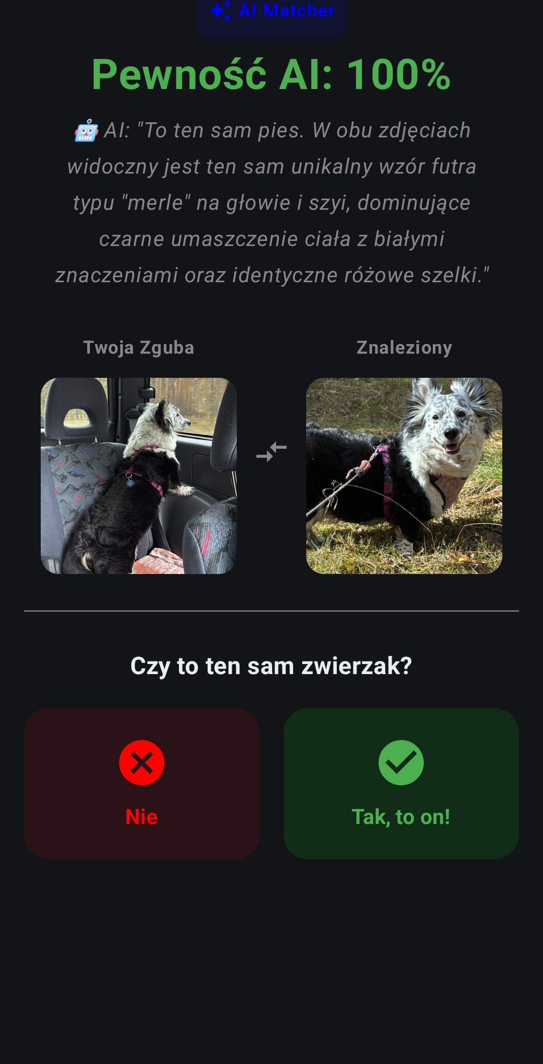 AI Matcher